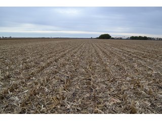 Property photo 93 - MAJOR ILLINOIS LAND AUCTION - 752.54+/- ACRES OFFERED IN 9 TRACTS IN KANKAKEE COUNTY, ILLINOIS
