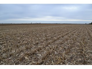 Property photo 83 - MAJOR ILLINOIS LAND AUCTION - 752.54+/- ACRES OFFERED IN 9 TRACTS IN KANKAKEE COUNTY, ILLINOIS