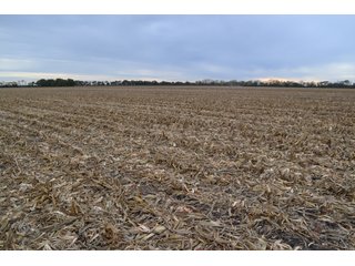 Property photo 64 - MAJOR ILLINOIS LAND AUCTION - 752.54+/- ACRES OFFERED IN 9 TRACTS IN KANKAKEE COUNTY, ILLINOIS