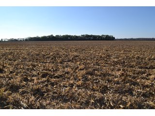 Property photo 52 - MAJOR ILLINOIS LAND AUCTION - 752.54+/- ACRES OFFERED IN 9 TRACTS IN KANKAKEE COUNTY, ILLINOIS