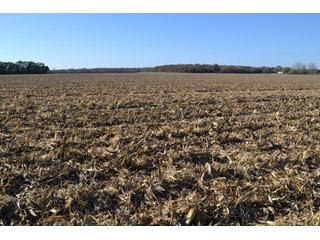 Property photo 68 - MAJOR ILLINOIS LAND AUCTION - 752.54+/- ACRES OFFERED IN 9 TRACTS IN KANKAKEE COUNTY, ILLINOIS