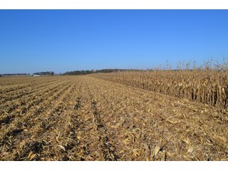 Property photo 97 - MAJOR ILLINOIS LAND AUCTION - 752.54+/- ACRES OFFERED IN 9 TRACTS IN KANKAKEE COUNTY, ILLINOIS