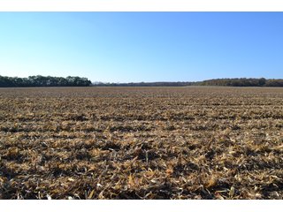 Property photo 89 - MAJOR ILLINOIS LAND AUCTION - 752.54+/- ACRES OFFERED IN 9 TRACTS IN KANKAKEE COUNTY, ILLINOIS