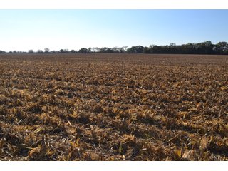Property photo 79 - MAJOR ILLINOIS LAND AUCTION - 752.54+/- ACRES OFFERED IN 9 TRACTS IN KANKAKEE COUNTY, ILLINOIS