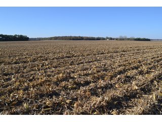 Property photo 58 - MAJOR ILLINOIS LAND AUCTION - 752.54+/- ACRES OFFERED IN 9 TRACTS IN KANKAKEE COUNTY, ILLINOIS