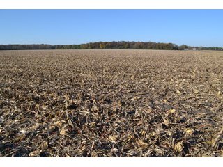 Property photo 95 - MAJOR ILLINOIS LAND AUCTION - 752.54+/- ACRES OFFERED IN 9 TRACTS IN KANKAKEE COUNTY, ILLINOIS
