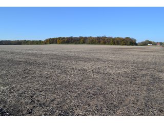 Property photo 82 - MAJOR ILLINOIS LAND AUCTION - 752.54+/- ACRES OFFERED IN 9 TRACTS IN KANKAKEE COUNTY, ILLINOIS