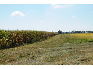 Property photo 67 - MAJOR ILLINOIS LAND AUCTION - 752.54+/- ACRES OFFERED IN 9 TRACTS IN KANKAKEE COUNTY, ILLINOIS