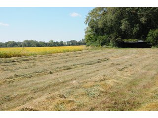 Property photo 81 - MAJOR ILLINOIS LAND AUCTION - 752.54+/- ACRES OFFERED IN 9 TRACTS IN KANKAKEE COUNTY, ILLINOIS