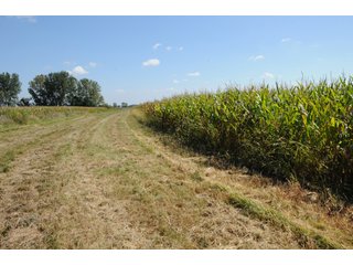 Property photo 56 - MAJOR ILLINOIS LAND AUCTION - 752.54+/- ACRES OFFERED IN 9 TRACTS IN KANKAKEE COUNTY, ILLINOIS