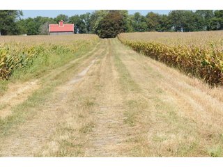 Property photo 36 - MAJOR ILLINOIS LAND AUCTION - 752.54+/- ACRES OFFERED IN 9 TRACTS IN KANKAKEE COUNTY, ILLINOIS