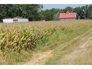 Property photo 37 - MAJOR ILLINOIS LAND AUCTION - 752.54+/- ACRES OFFERED IN 9 TRACTS IN KANKAKEE COUNTY, ILLINOIS