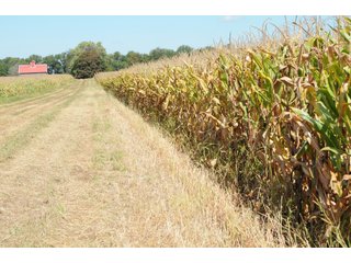 Property photo 34 - MAJOR ILLINOIS LAND AUCTION - 752.54+/- ACRES OFFERED IN 9 TRACTS IN KANKAKEE COUNTY, ILLINOIS