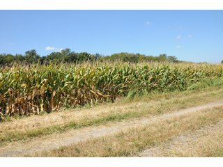 Property photo 26 - MAJOR ILLINOIS LAND AUCTION - 752.54+/- ACRES OFFERED IN 9 TRACTS IN KANKAKEE COUNTY, ILLINOIS
