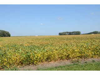 Property photo 15 - MAJOR ILLINOIS LAND AUCTION - 752.54+/- ACRES OFFERED IN 9 TRACTS IN KANKAKEE COUNTY, ILLINOIS
