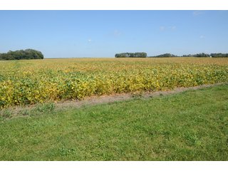 Property photo 30 - MAJOR ILLINOIS LAND AUCTION - 752.54+/- ACRES OFFERED IN 9 TRACTS IN KANKAKEE COUNTY, ILLINOIS