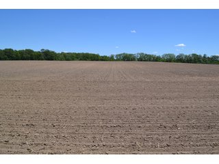 Property photo 24 - MAJOR ILLINOIS LAND AUCTION - 752.54+/- ACRES OFFERED IN 9 TRACTS IN KANKAKEE COUNTY, ILLINOIS