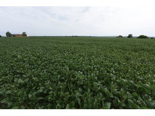Property photo 42 - IMPORTANT OHIO LAND AUCTION - 325.5+/- ACRES OFFERED IN 8 TRACTS IN PICKAWAY COUNTY, OHIO