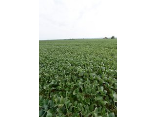 Property photo 32 - IMPORTANT OHIO LAND AUCTION - 325.5+/- ACRES OFFERED IN 8 TRACTS IN PICKAWAY COUNTY, OHIO