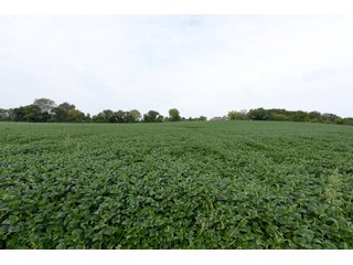 Property photo 50 - IMPORTANT OHIO LAND AUCTION - 325.5+/- ACRES OFFERED IN 8 TRACTS IN PICKAWAY COUNTY, OHIO