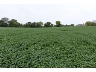 Property photo 30 - IMPORTANT OHIO LAND AUCTION - 325.5+/- ACRES OFFERED IN 8 TRACTS IN PICKAWAY COUNTY, OHIO