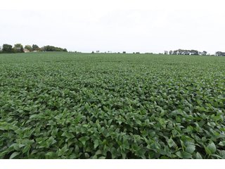 Property photo 40 - IMPORTANT OHIO LAND AUCTION - 325.5+/- ACRES OFFERED IN 8 TRACTS IN PICKAWAY COUNTY, OHIO