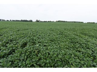Property photo 44 - IMPORTANT OHIO LAND AUCTION - 325.5+/- ACRES OFFERED IN 8 TRACTS IN PICKAWAY COUNTY, OHIO