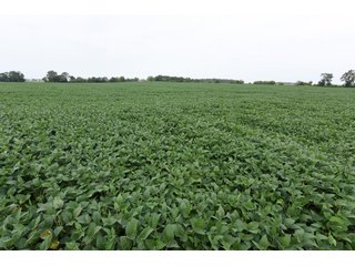 Property photo 47 - IMPORTANT OHIO LAND AUCTION - 325.5+/- ACRES OFFERED IN 8 TRACTS IN PICKAWAY COUNTY, OHIO