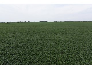 Property photo 46 - IMPORTANT OHIO LAND AUCTION - 325.5+/- ACRES OFFERED IN 8 TRACTS IN PICKAWAY COUNTY, OHIO