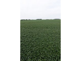Property photo 45 - IMPORTANT OHIO LAND AUCTION - 325.5+/- ACRES OFFERED IN 8 TRACTS IN PICKAWAY COUNTY, OHIO