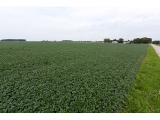 TRACTS 4-5 - IMPORTANT OHIO LAND AUCTION - 325.5+/- ACRES OFFERED IN 8 TRACTS IN PICKAWAY COUNTY, OHIO