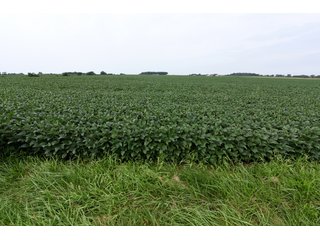 Property photo 49 - IMPORTANT OHIO LAND AUCTION - 325.5+/- ACRES OFFERED IN 8 TRACTS IN PICKAWAY COUNTY, OHIO