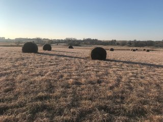 Property photo 112 - LAND AUCTION - 664+/- ACRES OFFERED IN 17 TRACTS IN CASS CO., NEBRASKA