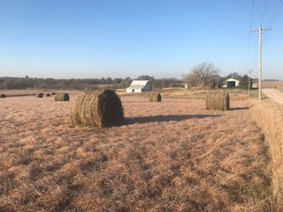 Property photo 109 - LAND AUCTION - 664+/- ACRES OFFERED IN 17 TRACTS IN CASS CO., NEBRASKA