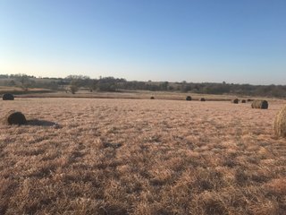 Property photo 113 - LAND AUCTION - 664+/- ACRES OFFERED IN 17 TRACTS IN CASS CO., NEBRASKA