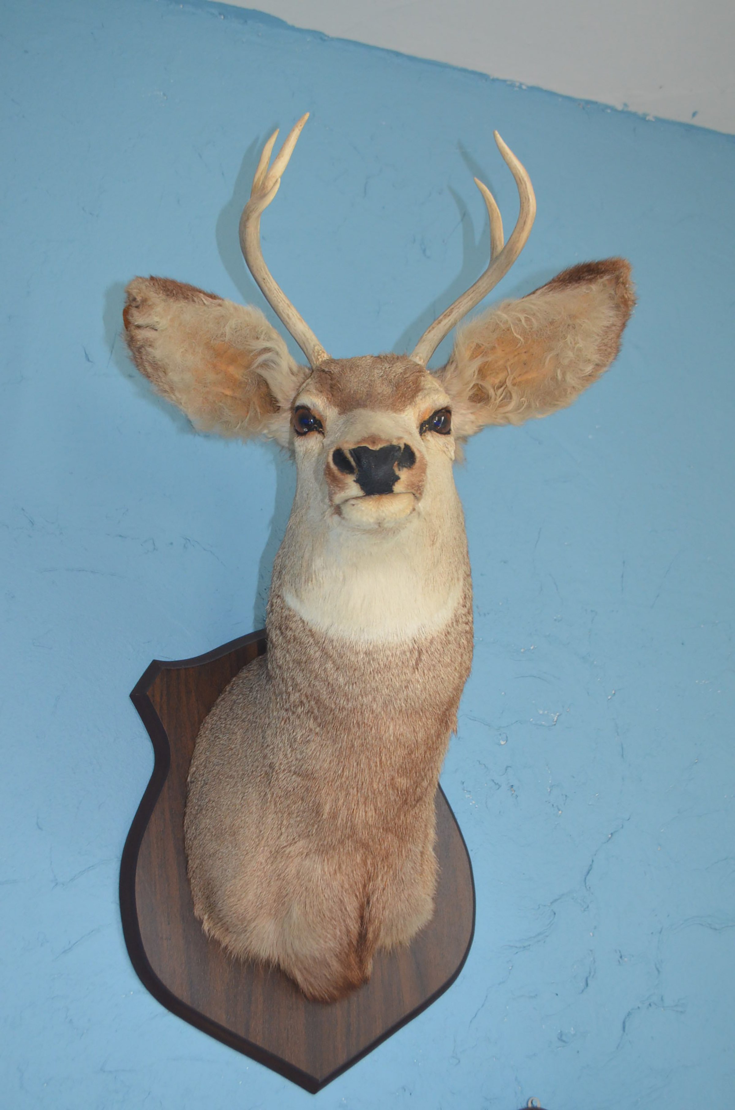 Property photo 87 - 2 DAY PERSONAL PROPERTY & REAL ESTATE AUCTION - HOME, LAND & PERSONAL PROPERTY IN ALLEN COUNTY, INDIANA