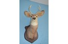 Property photo 87 - 2 DAY PERSONAL PROPERTY & REAL ESTATE AUCTION - HOME, LAND & PERSONAL PROPERTY IN ALLEN COUNTY, INDIANA