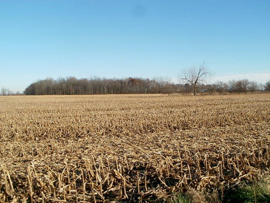 HIGH QUALITY LAND AUCTION - 300+/- ACRES OFFERED IN 5 TRACTS IN HENRY CO., INDIANA