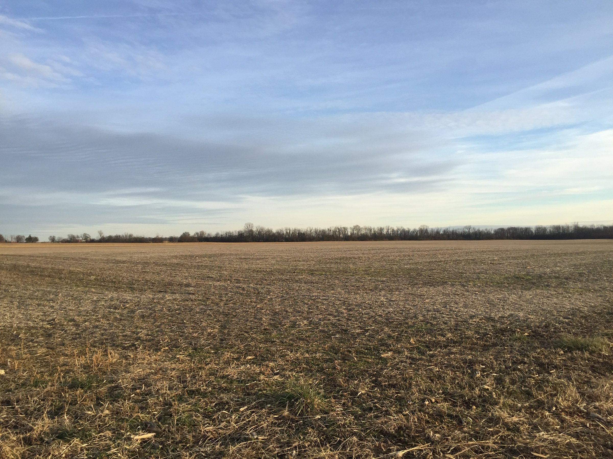 Property photo 13 - PRIME OHIO FARM AUCTION - 198+/- ACRES IN 4 TRACTS IN PREBLE COUNTY, OHIO