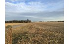 Property photo 12 - PRIME OHIO FARM AUCTION - 198+/- ACRES IN 4 TRACTS IN PREBLE COUNTY, OHIO