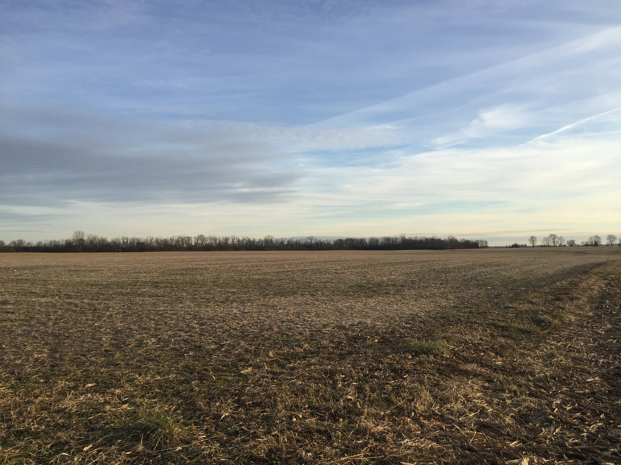 Property photo 19 - PRIME OHIO FARM AUCTION - 198+/- ACRES IN 4 TRACTS IN PREBLE COUNTY, OHIO
