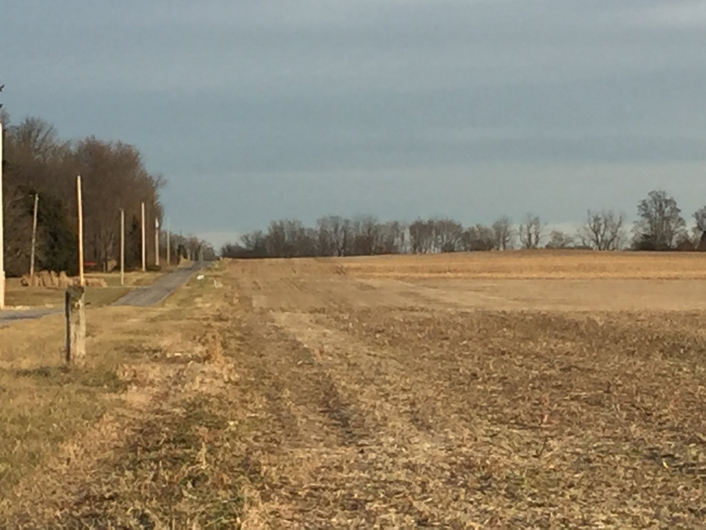 Property photo 14 - PRIME OHIO FARM AUCTION - 198+/- ACRES IN 4 TRACTS IN PREBLE COUNTY, OHIO
