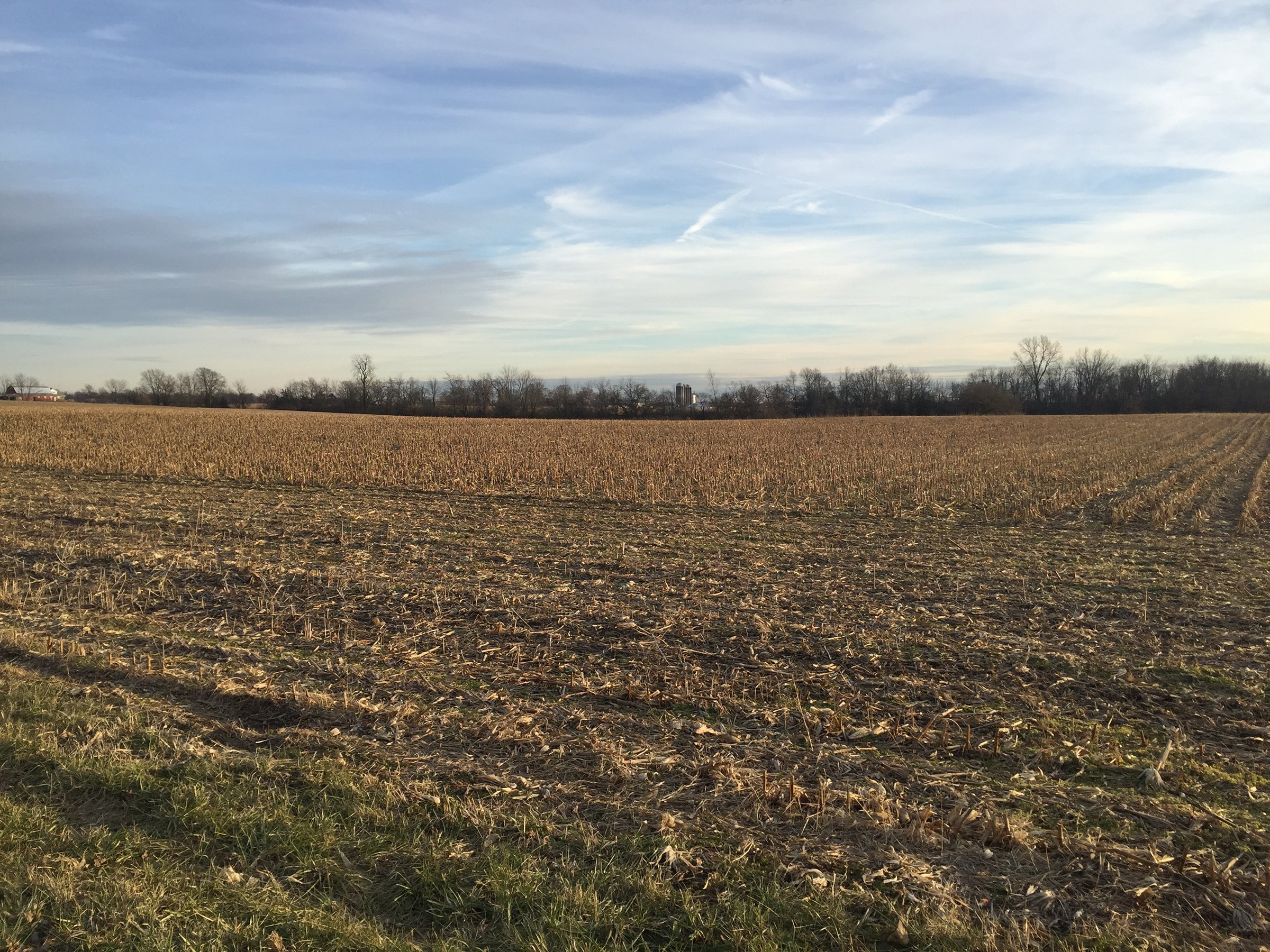 Property photo 17 - PRIME OHIO FARM AUCTION - 198+/- ACRES IN 4 TRACTS IN PREBLE COUNTY, OHIO