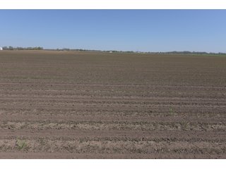 Property photo 73 - LAND AUCTION - 492+/- ACRES OFFERED IN 7 TRACTS IN SULLIVAN & KNOX COUNTIES, INDIANA