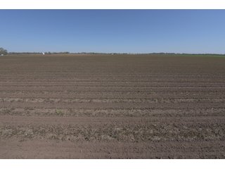 Property photo 63 - LAND AUCTION - 492+/- ACRES OFFERED IN 7 TRACTS IN SULLIVAN & KNOX COUNTIES, INDIANA