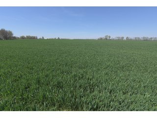 Property photo 61 - LAND AUCTION - 492+/- ACRES OFFERED IN 7 TRACTS IN SULLIVAN & KNOX COUNTIES, INDIANA