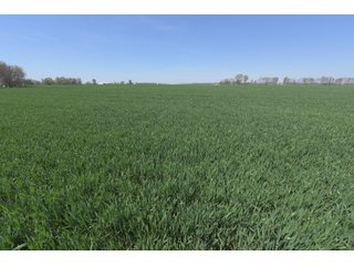 Property photo 55 - LAND AUCTION - 492+/- ACRES OFFERED IN 7 TRACTS IN SULLIVAN & KNOX COUNTIES, INDIANA