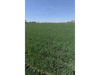 Property photo 56 - LAND AUCTION - 492+/- ACRES OFFERED IN 7 TRACTS IN SULLIVAN & KNOX COUNTIES, INDIANA