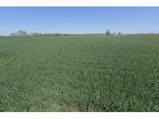 Property photo 62 - LAND AUCTION - 492+/- ACRES OFFERED IN 7 TRACTS IN SULLIVAN & KNOX COUNTIES, INDIANA