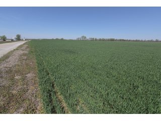 Property photo 65 - LAND AUCTION - 492+/- ACRES OFFERED IN 7 TRACTS IN SULLIVAN & KNOX COUNTIES, INDIANA